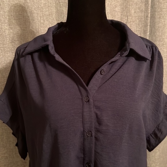 PLEIONE Blue Semi Sheer Button Down Blouse Size Medium - Picture 2 of 5